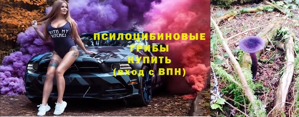 ПСИЛОЦИБИНОВЫЕ ГРИБЫ Верхний Тагил