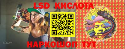 скорость Кингисепп