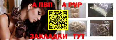 скорость Кингисепп