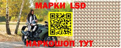 скорость Кингисепп