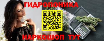 скорость Кингисепп