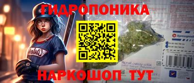 скорость Кингисепп