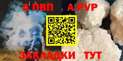 скорость Кингисепп