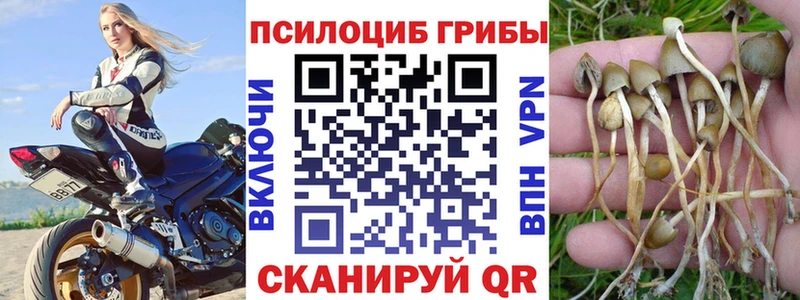 Псилоцибиновые грибы GOLDEN TEACHER  даркнет сайт  Шуя 