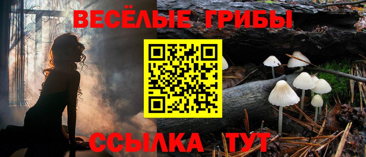 Галлюциногенные грибы мицелий  Псилоцибиновые грибы Psilocybe  Шуя 