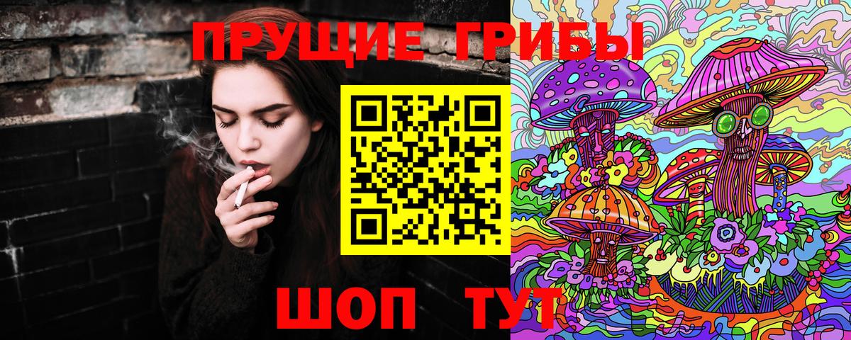 Шуя  Псилоцибиновые грибы мицелий  Галлюциногенные грибы Psilocybine cubensis  Вход с VPN 